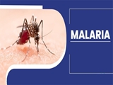 با بیماری مالاریا و علایم ناشی از آن آشنا شویم