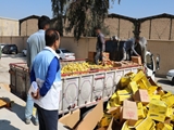 معدومی سازی حدود 16 تن مواد غذایی تاریخ گذشته و فاسد در شیراز