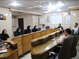 کمیته فصلی کاهش مرگ نوزادان در راستای پایش برنامه عملیاتی سلامت نوزادان 