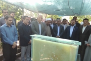 تجدید میثاق با خون شهدا؛ حضور رئیس مرکز بهداشت شهدای والفجر در آئین گلباران کردن گلزار شهدای شیراز به مناسبت آغاز هفته دولت 