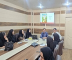 نشست رئیس مرکز بهداشت شهدای والفجر با ماماها به مناسبت گرامیداشت هفته ملی جمعیت برگزار شد